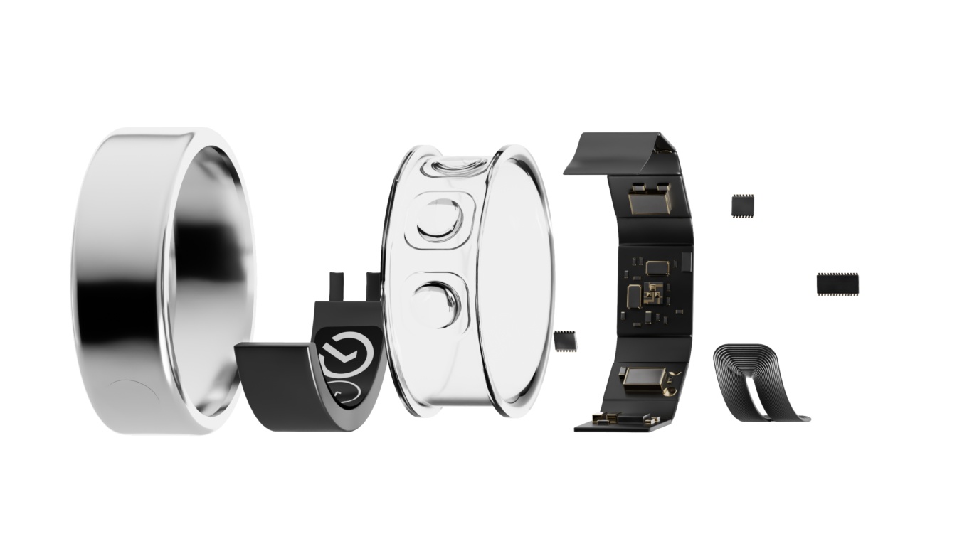 Примерная схема компонентов кольца. Часть элементов показана условно