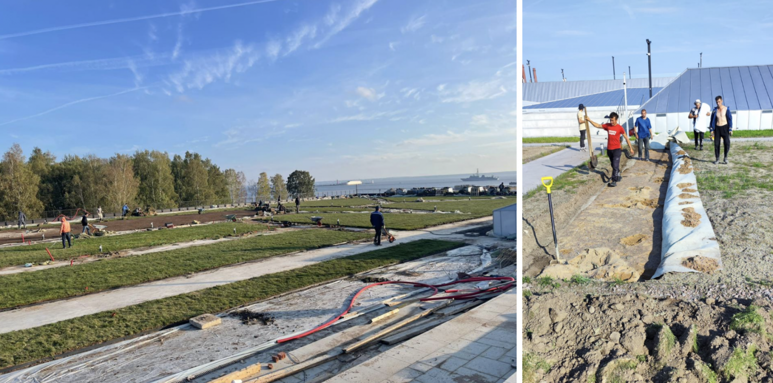 За газонами ухаживали несколько месяцев как за собственным огородом. Поливали, подкармливали, рыхлили землю. К осени в некоторых местах появились проплешины — досевали траву. 