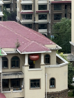 Xiaomi не обманула по поводу топовой камеры: появилось сравнение Xiaomi 17 Pro Max, iPhone 17 Pro Max и Samsung Galaxy S25 Ultra