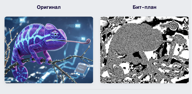 Слева — оригинальное изображение, справа — его LSB-план, который выглядит как случайный шум