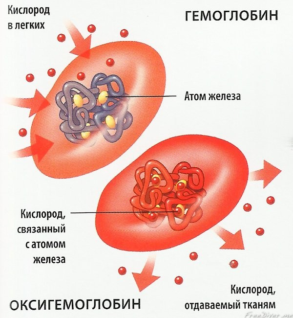 Дыхание кобальта или кристаллы, нашпигованные кислородом - 1