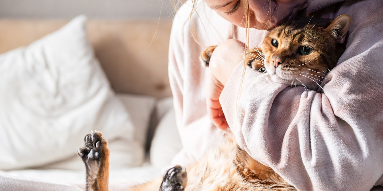 Как владение кошкой влияет на мозг человека (и на мозг кошки) - 1