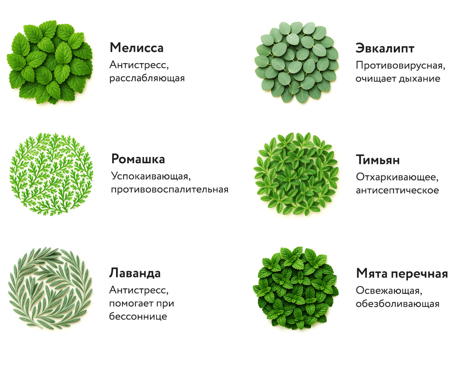 Как воробей Вася вайб-кодингом убился и причём тут Мао Цзэдун (трафик, 18+) - 16 Как воробей Вася вайб-кодингом убился и причём тут Мао Цзэдун (трафик, 18+) - 16