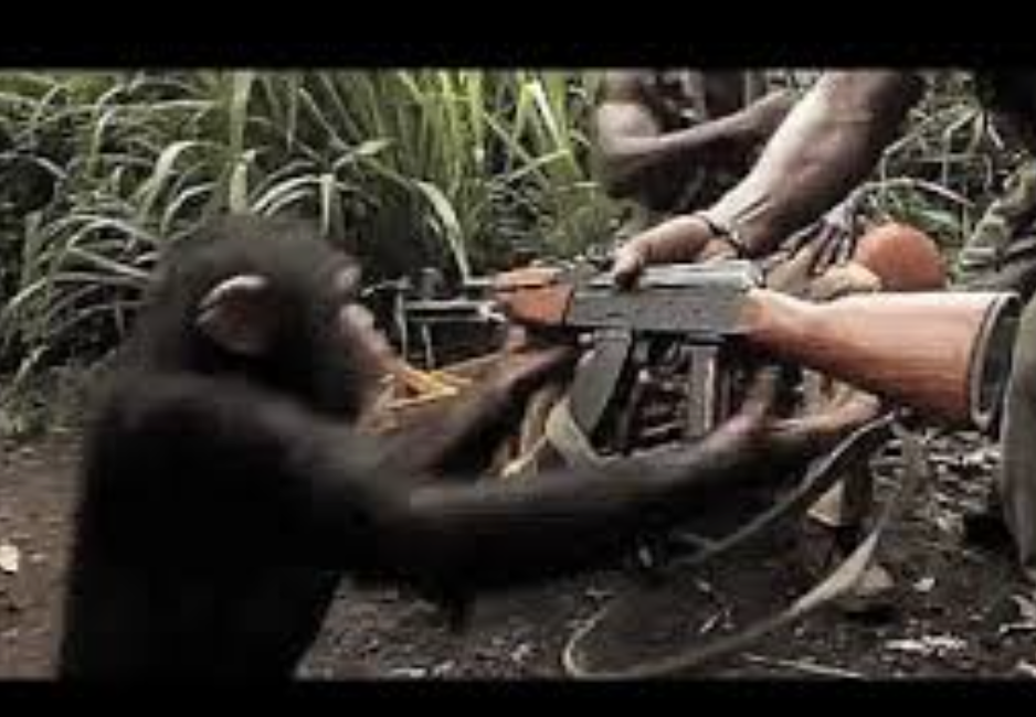 «Нам срочно нужен ИИ-агент»