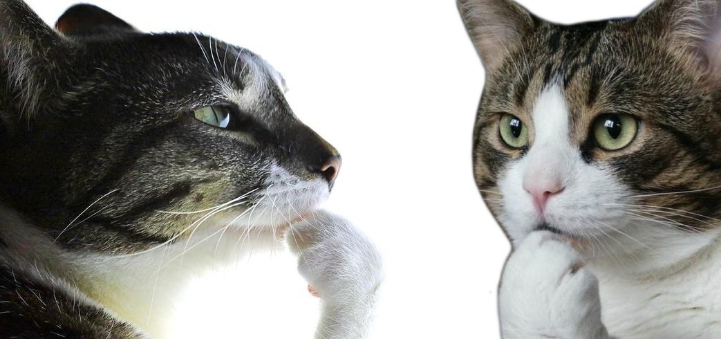 Зоопарк фреймворков для AI-агентов: как выбрать подходящий — делаем бенчмарк и большое сравнение - 9