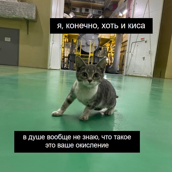 О горьком опыте масштабирования производств, о важности ведер и о причинах седины - 1 О горьком опыте масштабирования производств, о важности ведер и о причинах седины - 1