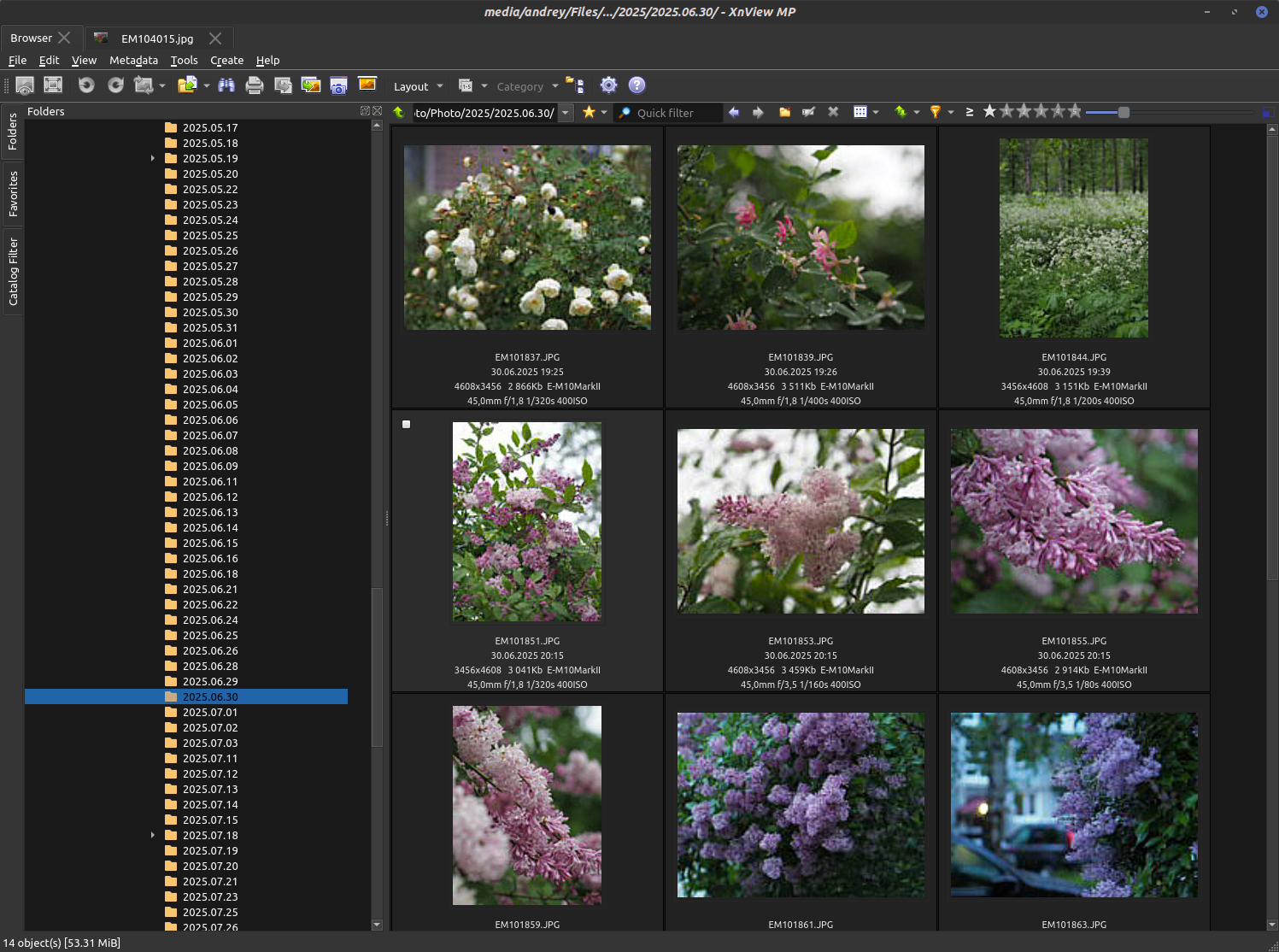Порядок и красота