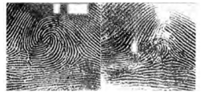 Как обмануть дактилоскопию: травмы, химия, взлом - 4 Как обмануть дактилоскопию: травмы, химия, взлом - 4