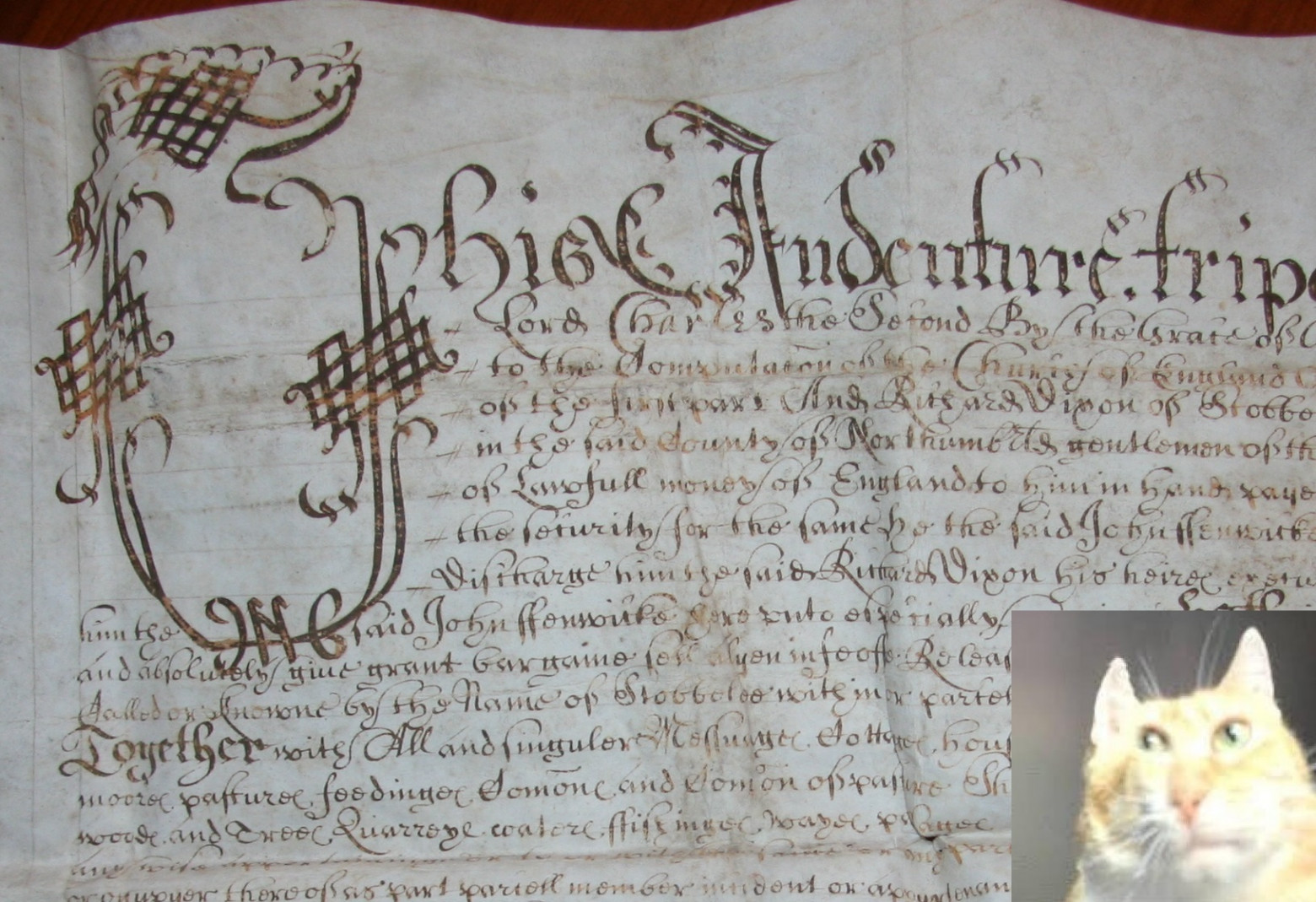 А чо? А в смысле?