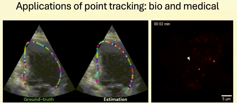 CoTracker in bio and medical