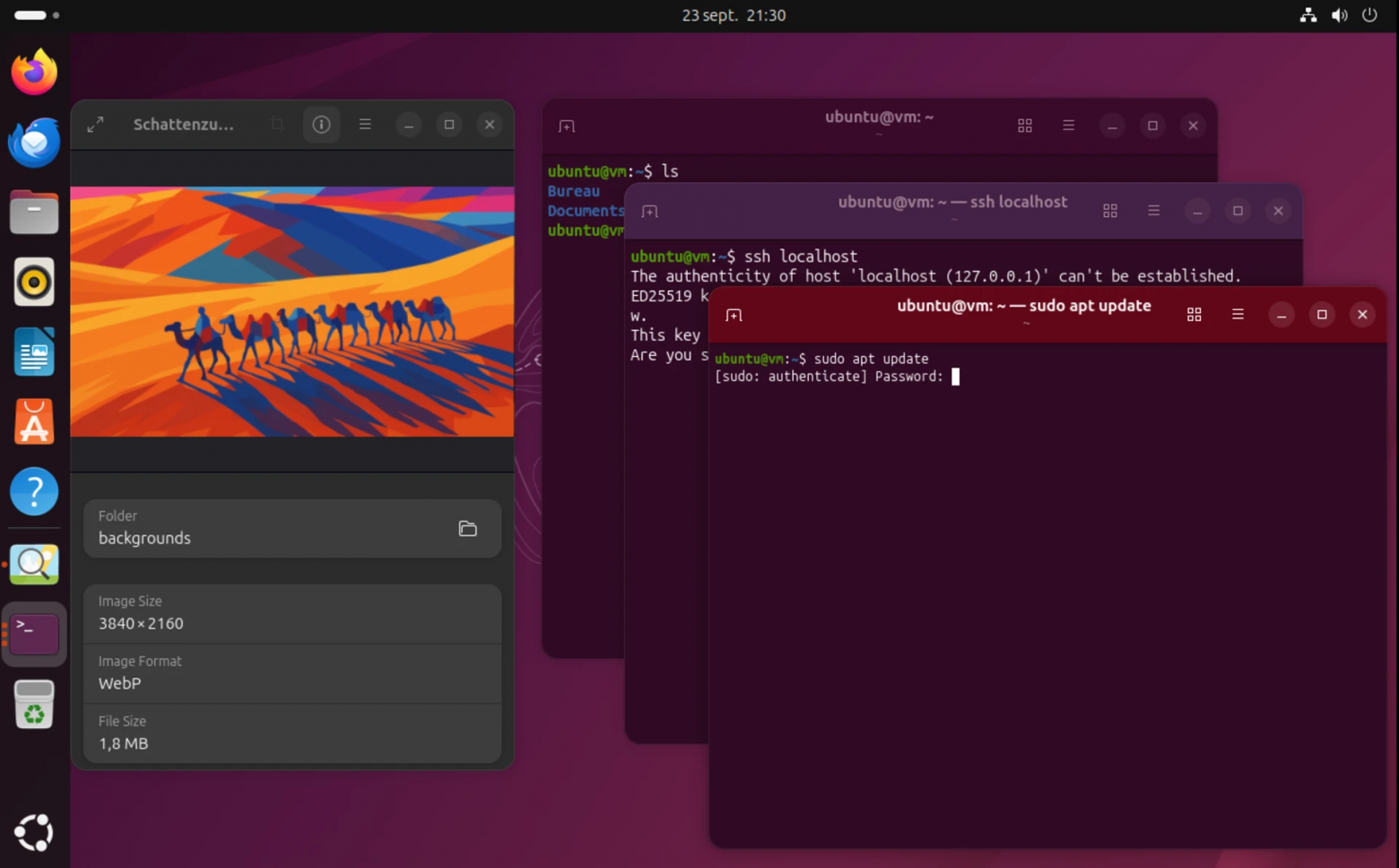 Ubuntu 25.10 «Questing Quokka»: от бета-версии к финалу — что изменилось - 4