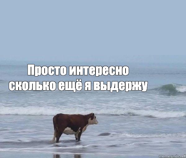«Первые плоды неправильного использования ИИ» или «Что же случилось с поиском работы на должность разработчика?» - 4