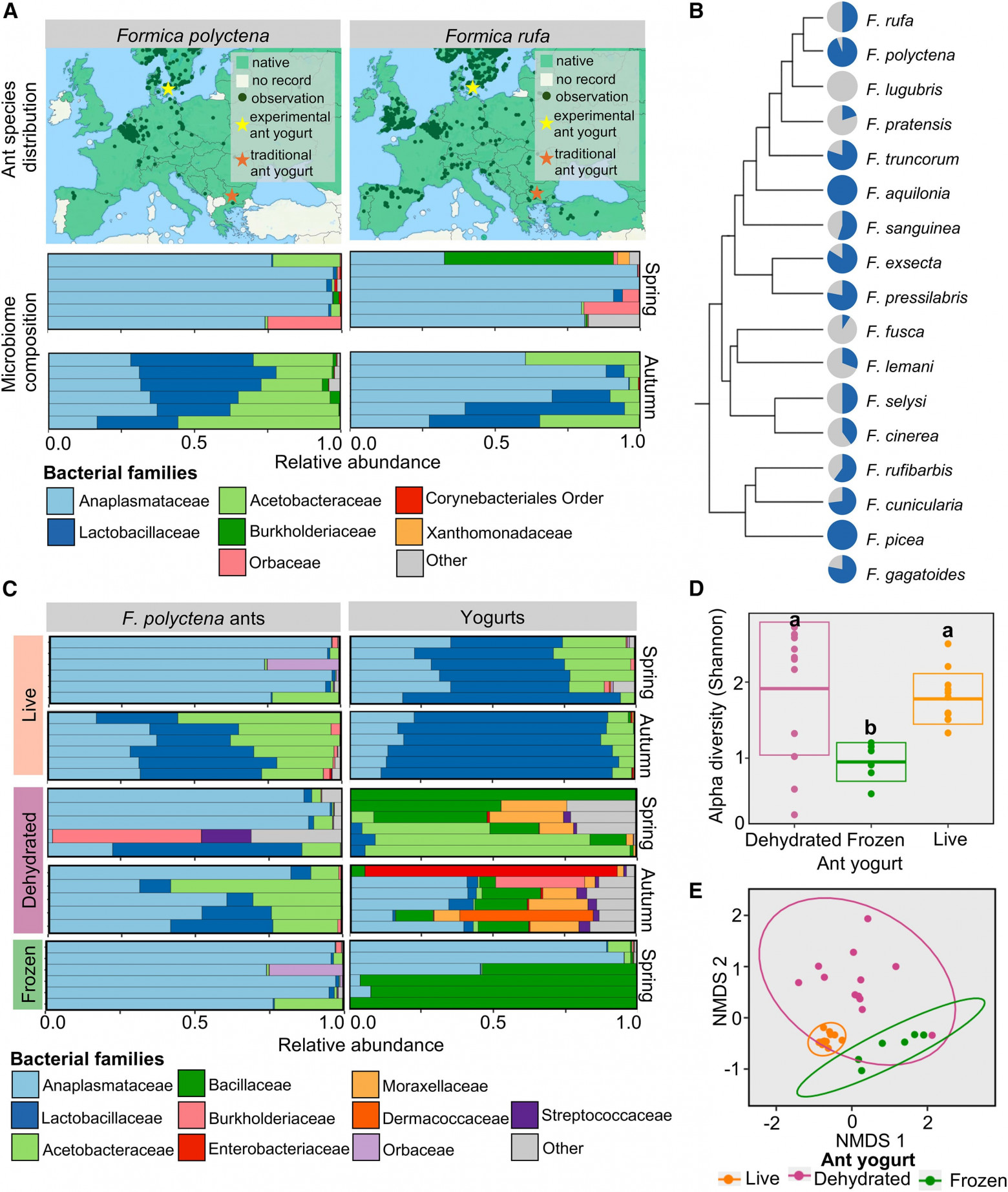Йогурт с муравьями: влияние голообионта муравьев на ферментацию - 4 Йогурт с муравьями: влияние голообионта муравьев на ферментацию - 4