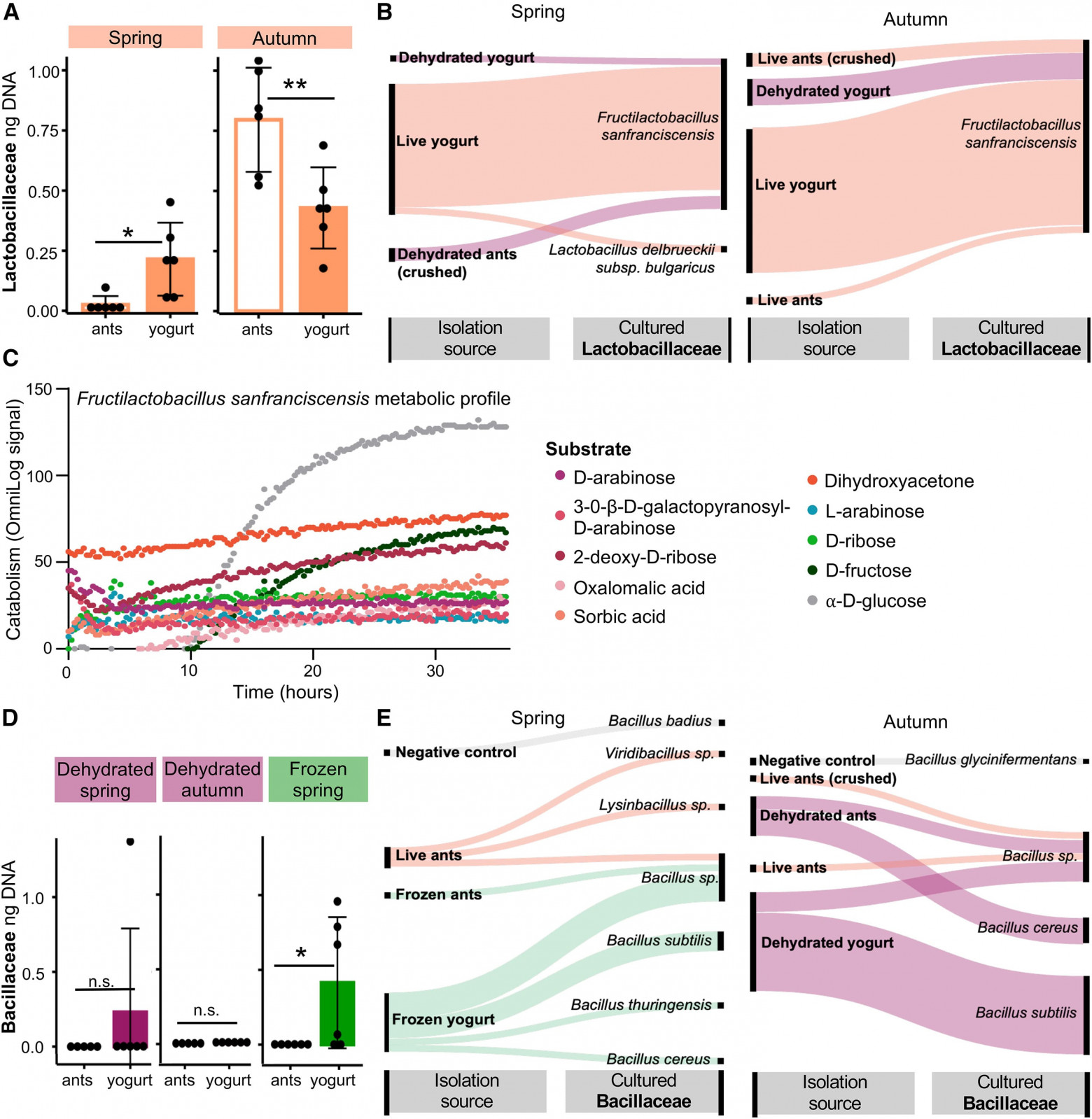 Йогурт с муравьями: влияние голообионта муравьев на ферментацию - 5 Йогурт с муравьями: влияние голообионта муравьев на ферментацию - 5