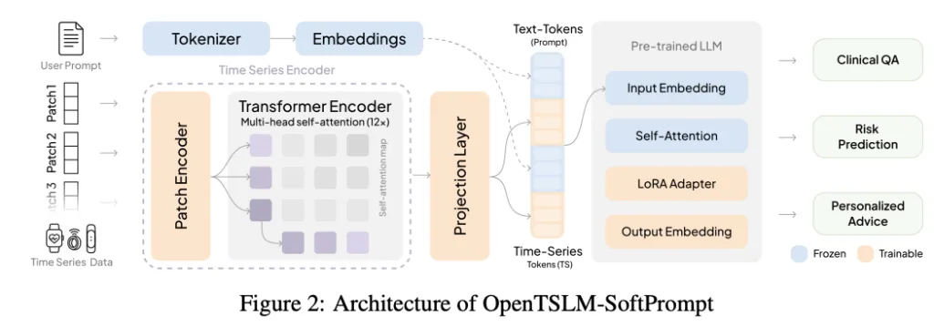 Встречайте OpenTSLM: семейство моделей языка временных рядов (TSLM), для анализа медицинских временных рядов - 2 Встречайте OpenTSLM: семейство моделей языка временных рядов (TSLM), для анализа медицинских временных рядов - 2