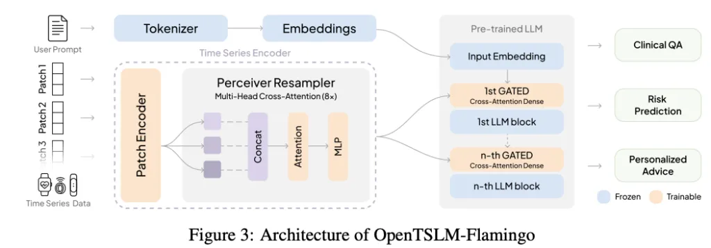Встречайте OpenTSLM: семейство моделей языка временных рядов (TSLM), для анализа медицинских временных рядов - 3 Встречайте OpenTSLM: семейство моделей языка временных рядов (TSLM), для анализа медицинских временных рядов - 3