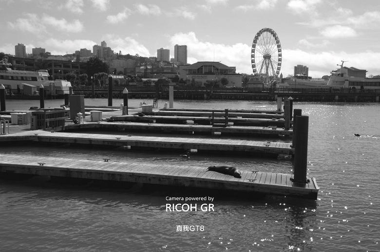 «Флагман уличной фотографии» с камерой Ricoh GR. Появились фотографии, сделанные на базовый Realme GT8