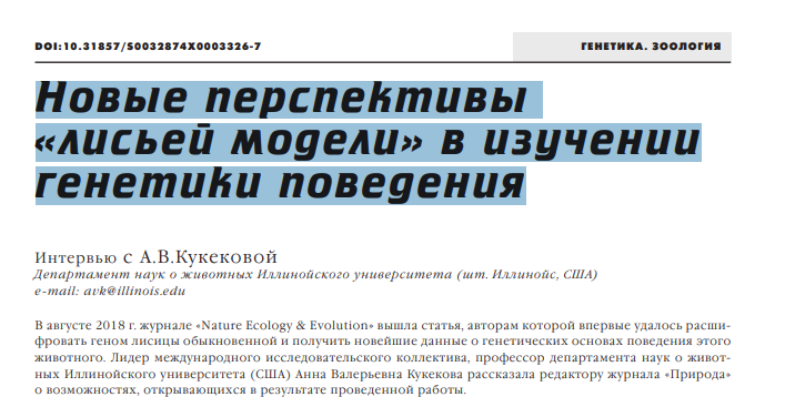 Попытка одомашнить лису. Одомашнить получилось - 1 Попытка одомашнить лису. Одомашнить получилось - 1