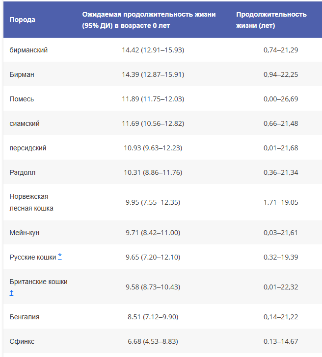 Домашняя кошка одомашнена или только приручена? Дикой может стать? - 7 Домашняя кошка одомашнена или только приручена? Дикой может стать? - 7
