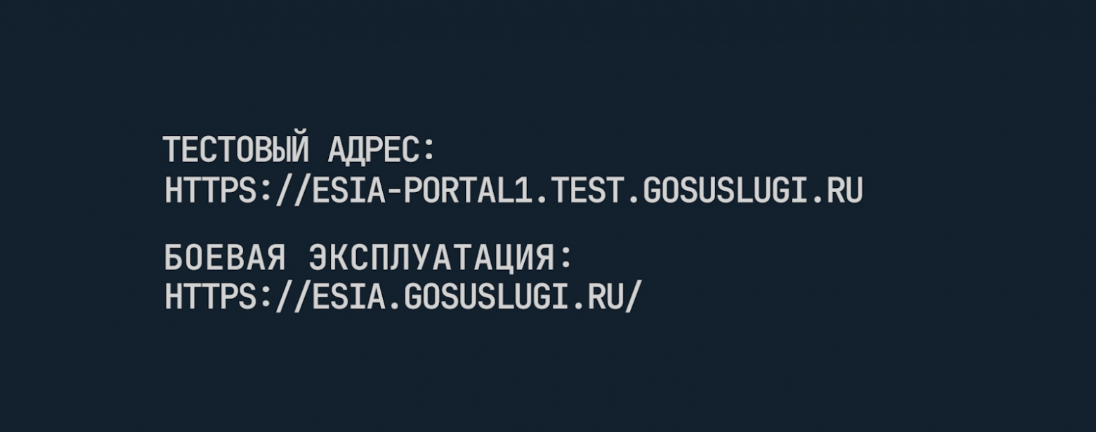 Внедряем вход через Госуслуги за 3 шага — подробный гайд - 3