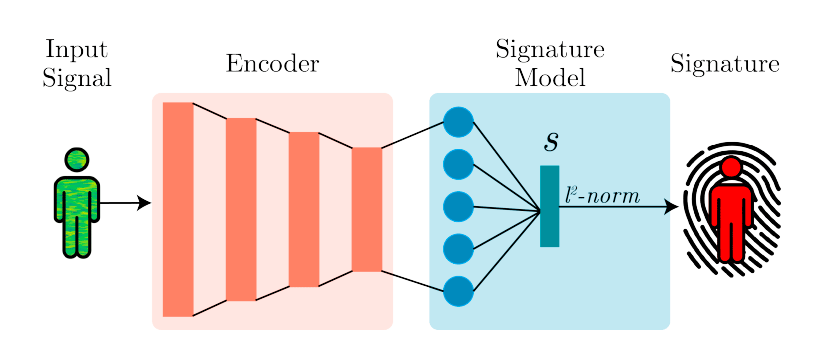 Из научной статьи с описанием системы WhoFi для идентификации по отражённому сигналу