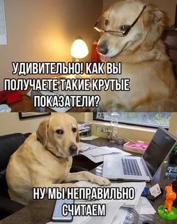 Финансовые практики, которые не работают или почему вы не станете богатым, следуя чужим рецептам - 2