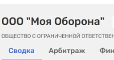 ООО «Твинта», ООО «ОЛОЛО АЙНАНЭ» и ООО «МАЙ ГАД»: ТОП самых забавных названий российских ОООшек