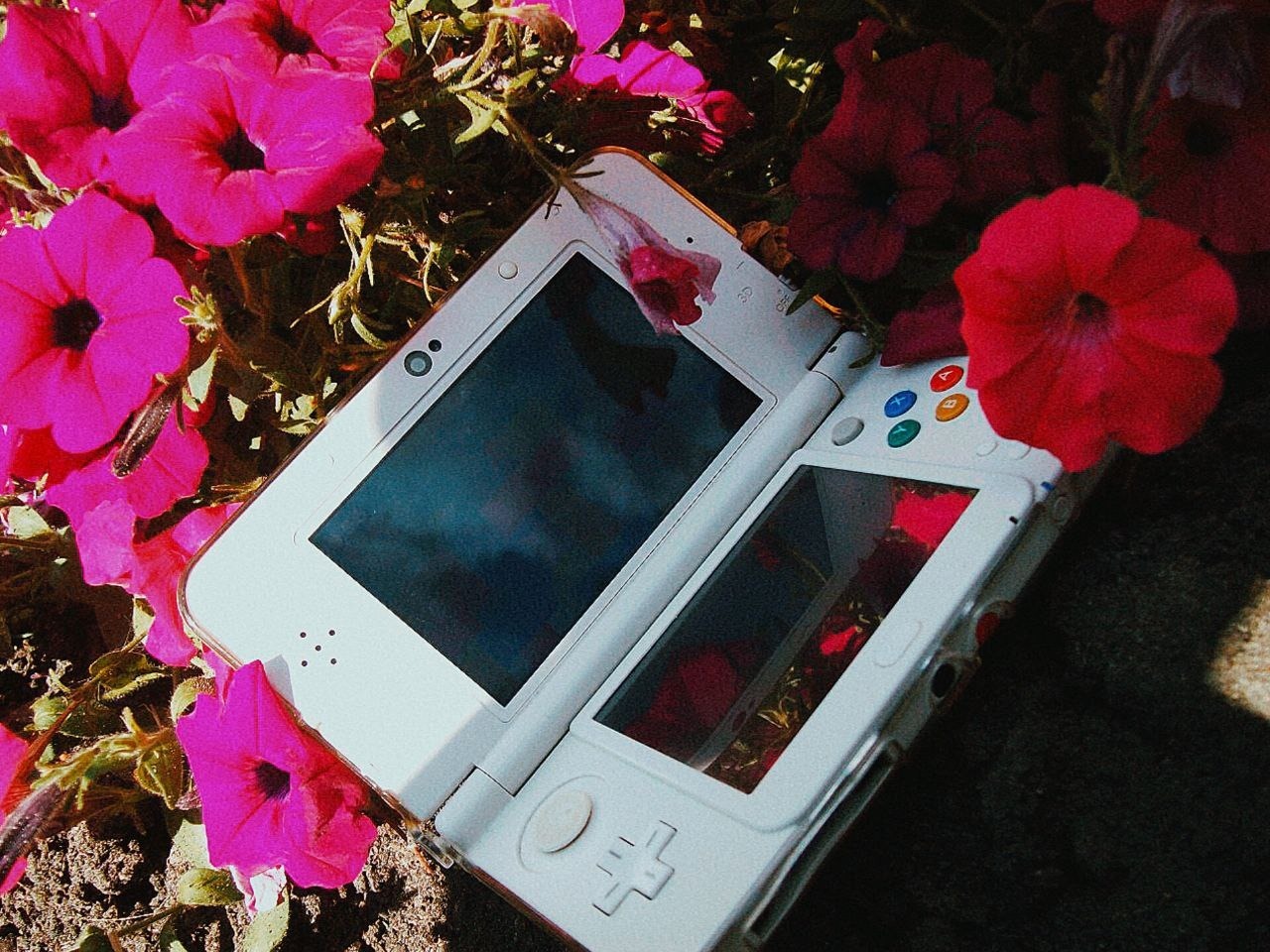 Каждому из вас нужна Nintendo 3DS в 2025 году чего бы вам это не стоило - 1