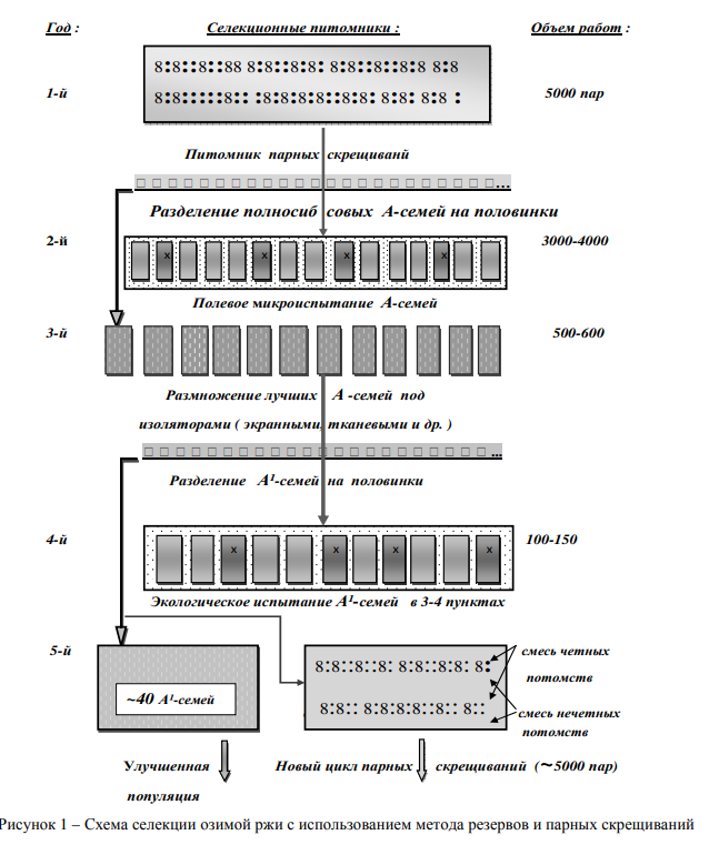 Вавилов — научная позиция. Лысенко — научная позиция - 3