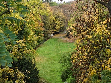 Так снимает OnePlus 15, у которого больше нет камеры Hasselblad. Опубликованы реальные фото со всех камер, 120-кратным зумом и примерами ночной съемки