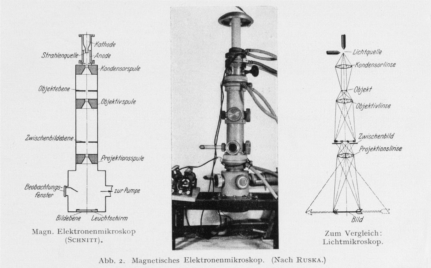 Электронный микроскоп, оставленный Руской и усовершенствованный новыми студентами в лаборатории. На двух эскизах показаны компоненты электронного микроскопа (слева) и сходства со световым микроскопом (справа). (https://doi.org/10.1016/B978-0-12-800146-2.00001-1)