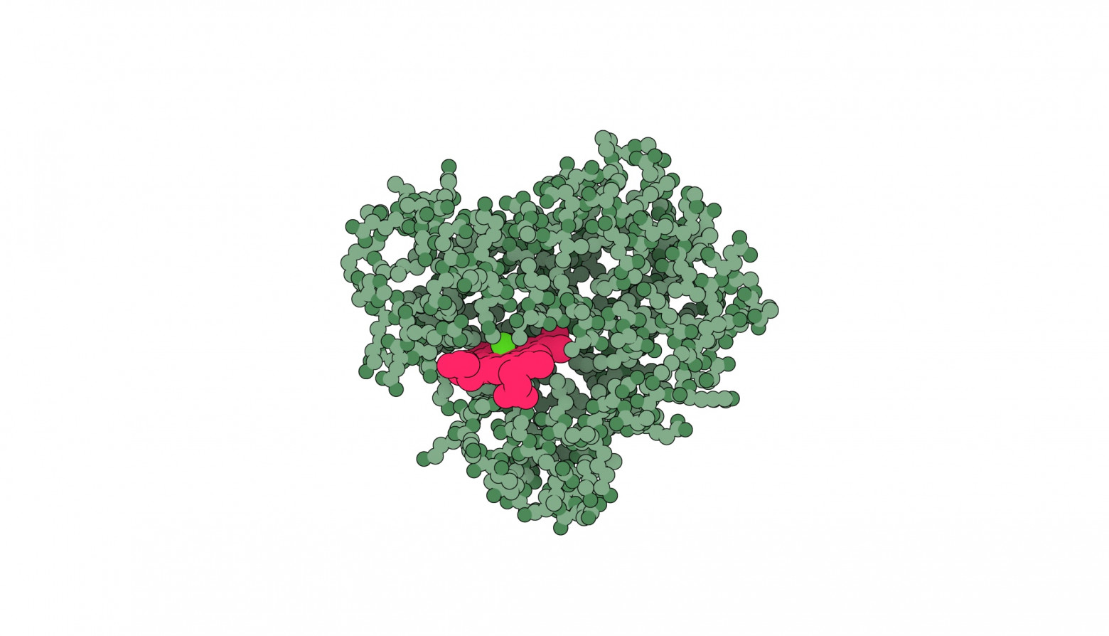 Структура белка миоглобина (PDB: 1MBN). Это была одна из первых структур, занесённых в Банк данных о белках в 1971 году