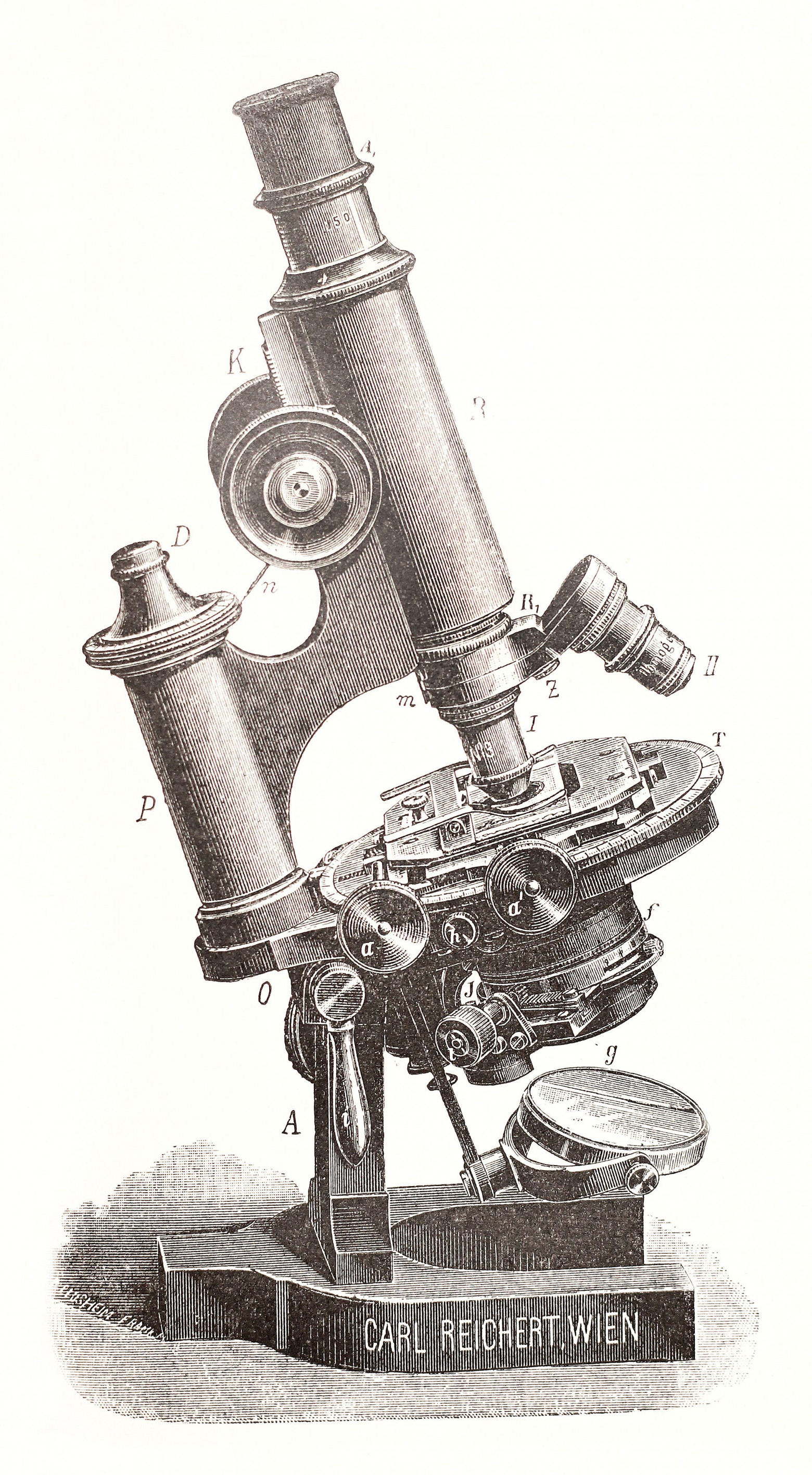 Световой микроскоп XIX века с поворотным объективом и конденсором Аббе. Гравюра Карла Райхерта