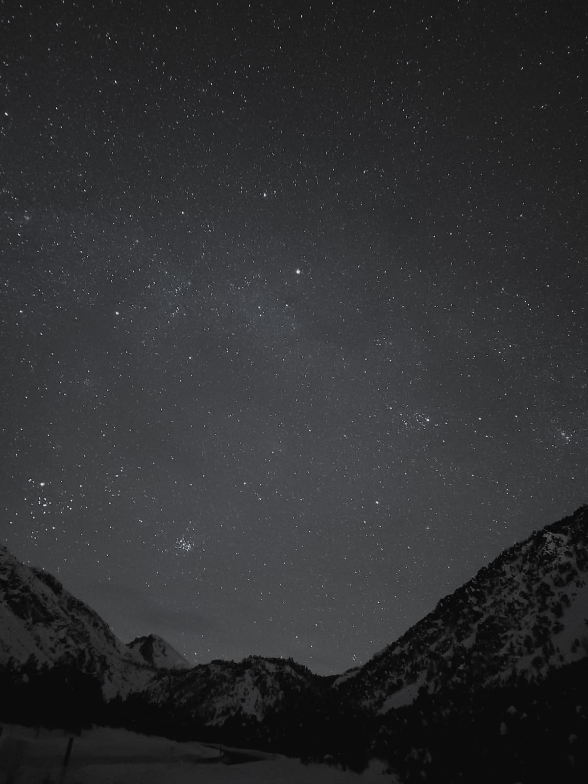 Снято мобильником, автор Макс Кива