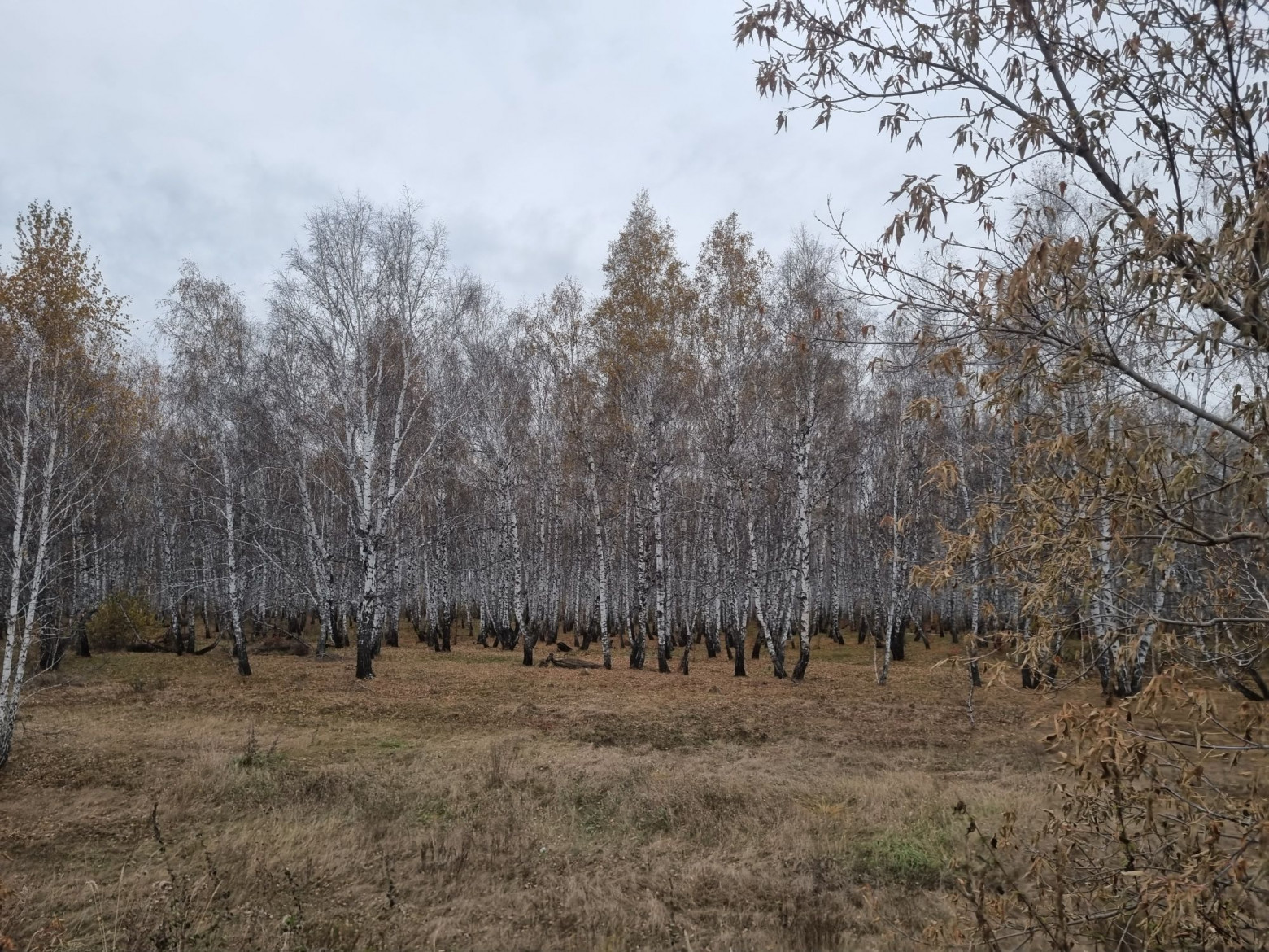 Последний выход из «Матрицы». Где сейчас остались таксофоны? - 15