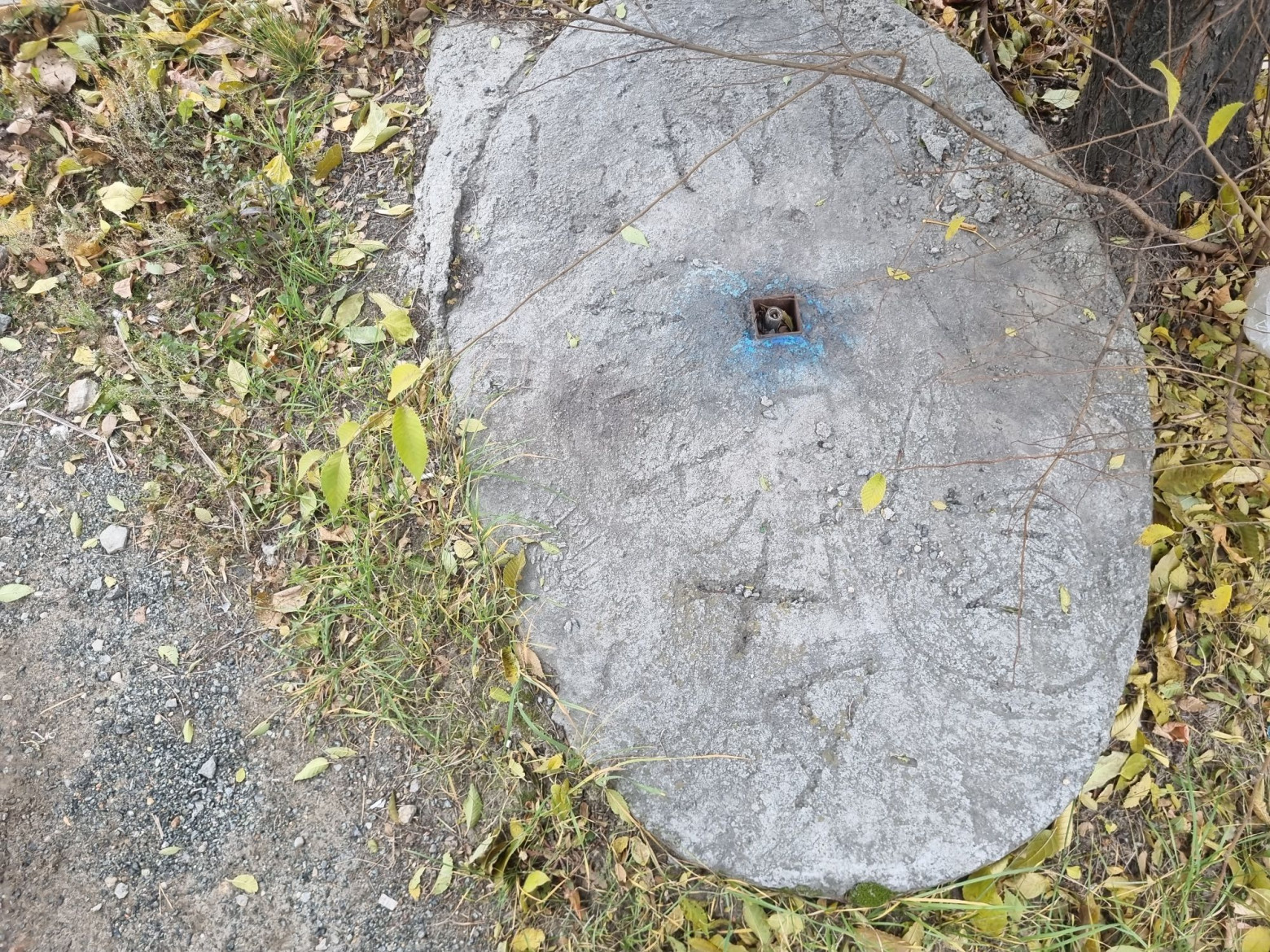 Последний выход из «Матрицы». Где сейчас остались таксофоны? - 4