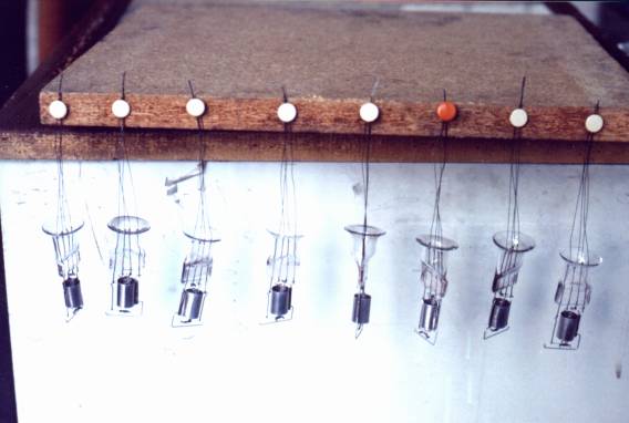 Фото 3.3. Сушка обработанных ножек. Очевидно — помещение должно быть достаточно чистым (пыль)