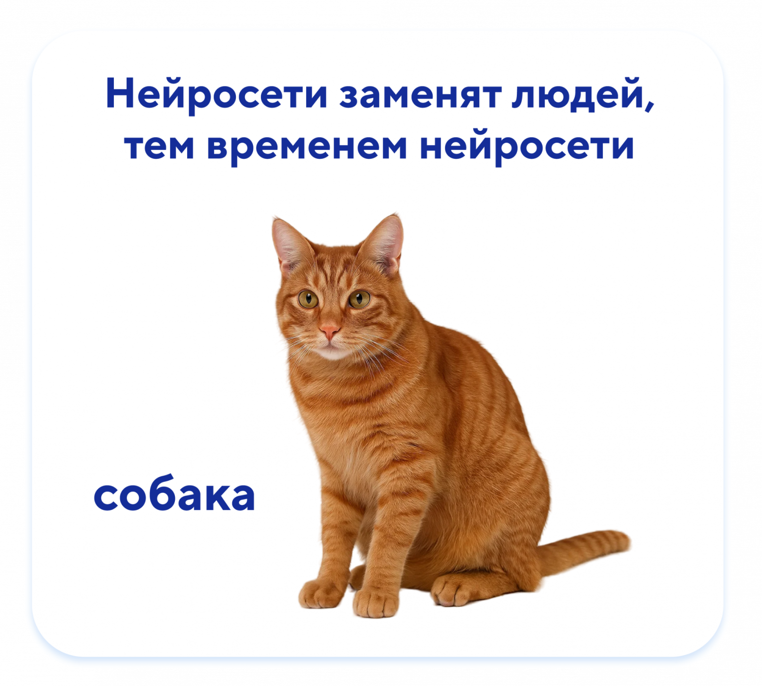 Профессия ML-инженер: как кошка съела акулу и почему ИИ должен дружить с БД - 2 Профессия ML-инженер: как кошка съела акулу и почему ИИ должен дружить с БД - 2