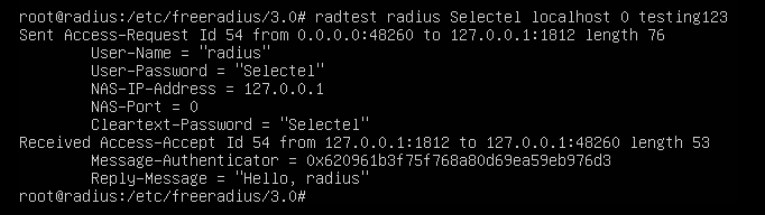 Скриншот консоли.