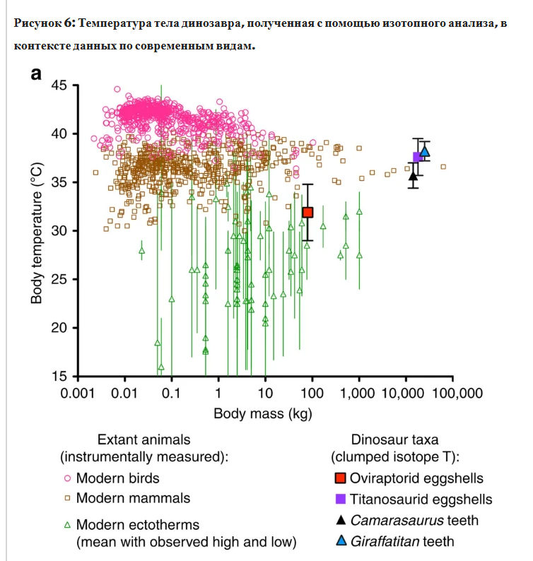 Сколько ели динозавры и при какой температуре их яйца развивались - 19 Сколько ели динозавры и при какой температуре их яйца развивались - 19