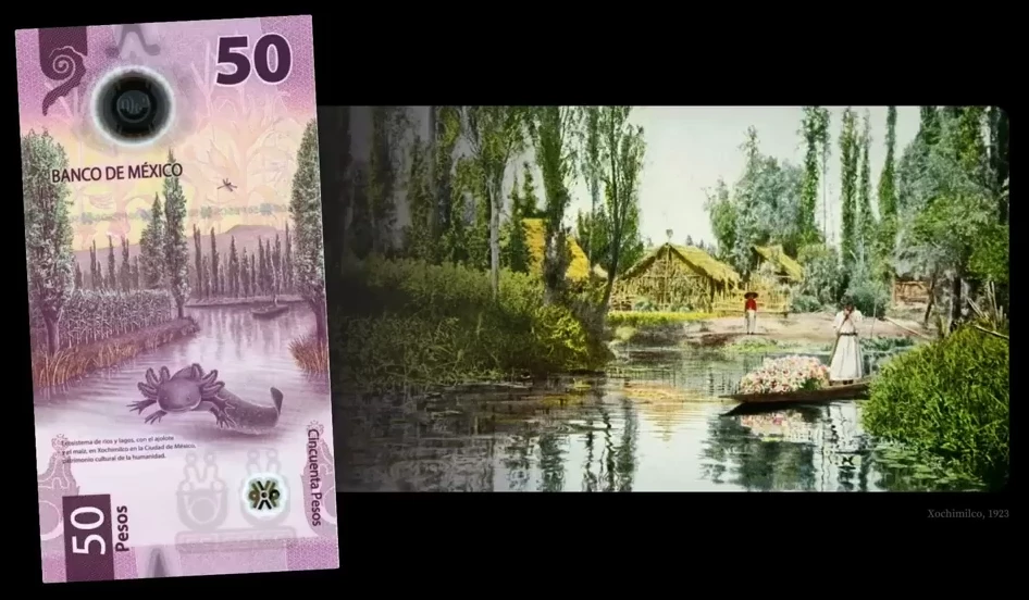 Банкнота 50 песо — один из источников информации для реконструкции плавучих островов-ферм (чинампов)