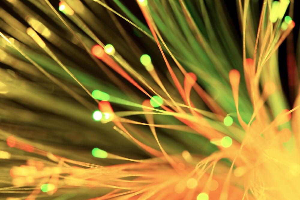 Изображение: freepik (freepik free license)