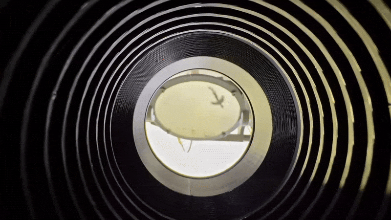 Камера, снимающая с частотой 2 000 000 000 кадров в секунду - 6