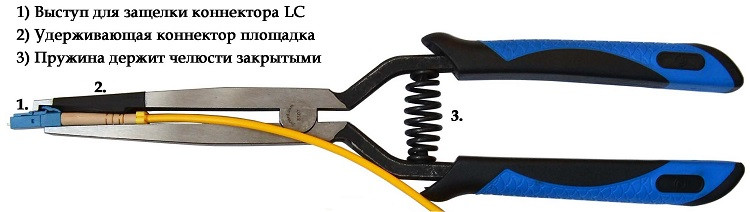 Длиногубцы