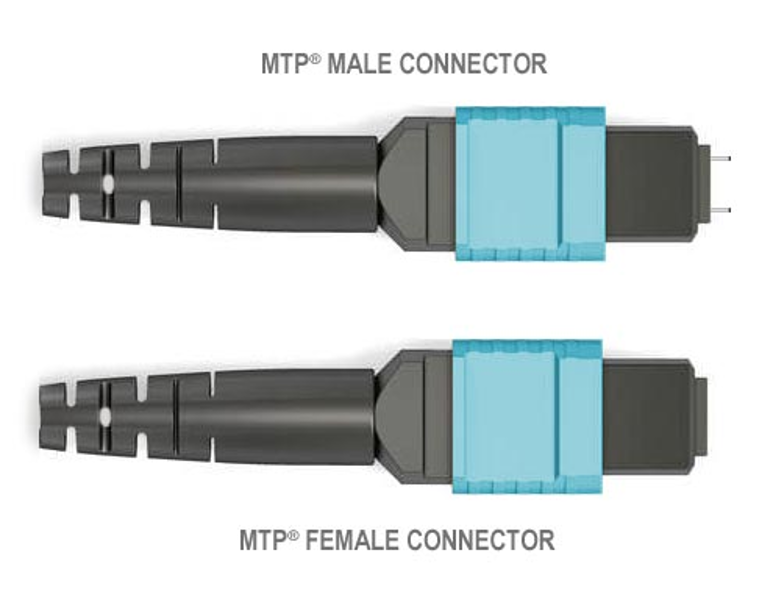 Вид сверху на male/female MTP