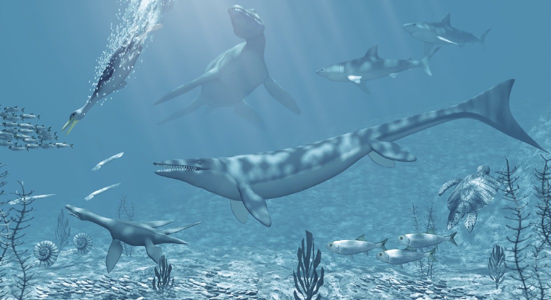 Климат в эпоху динозавров - 10 Климат в эпоху динозавров - 10