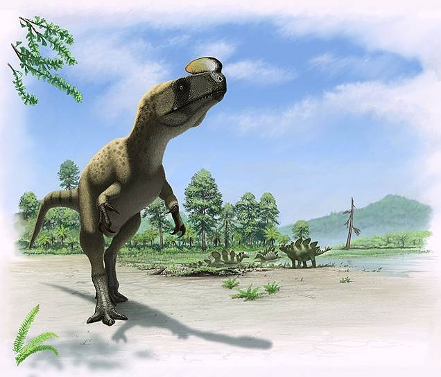 Климат в эпоху динозавров - 21 Климат в эпоху динозавров - 21