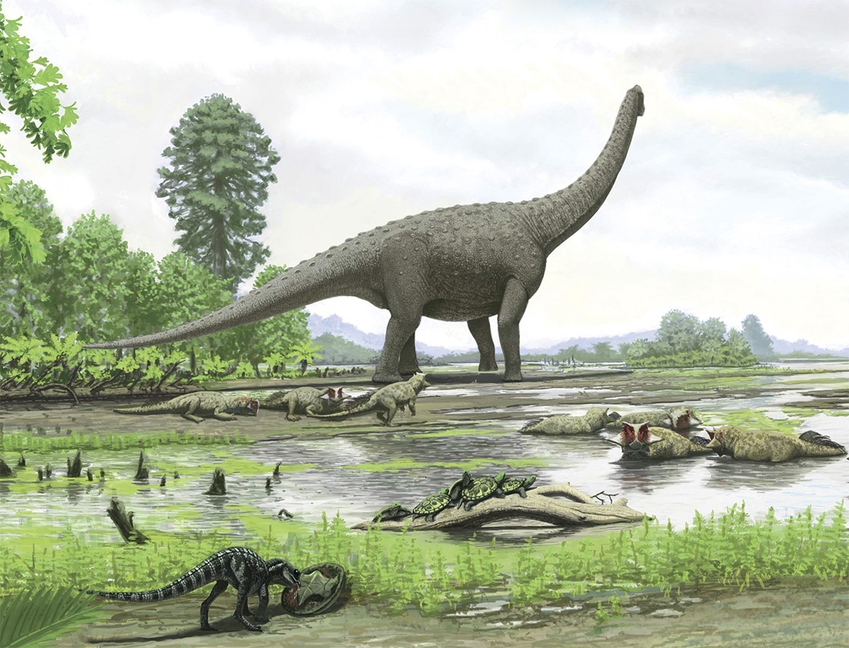 Климат в эпоху динозавров - 31 Климат в эпоху динозавров - 31