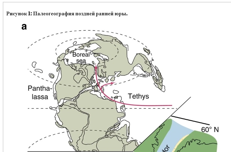 Климат в эпоху динозавров - 41 Климат в эпоху динозавров - 41