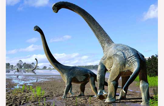 Климат в эпоху динозавров - 5 Климат в эпоху динозавров - 5